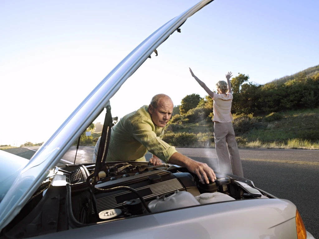 LEMON LAW Section 1